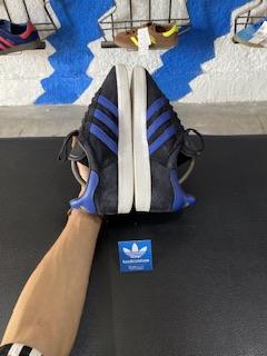 Gazelle cw petersburg 44