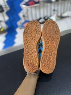 Gazelle indoor 42 2/3