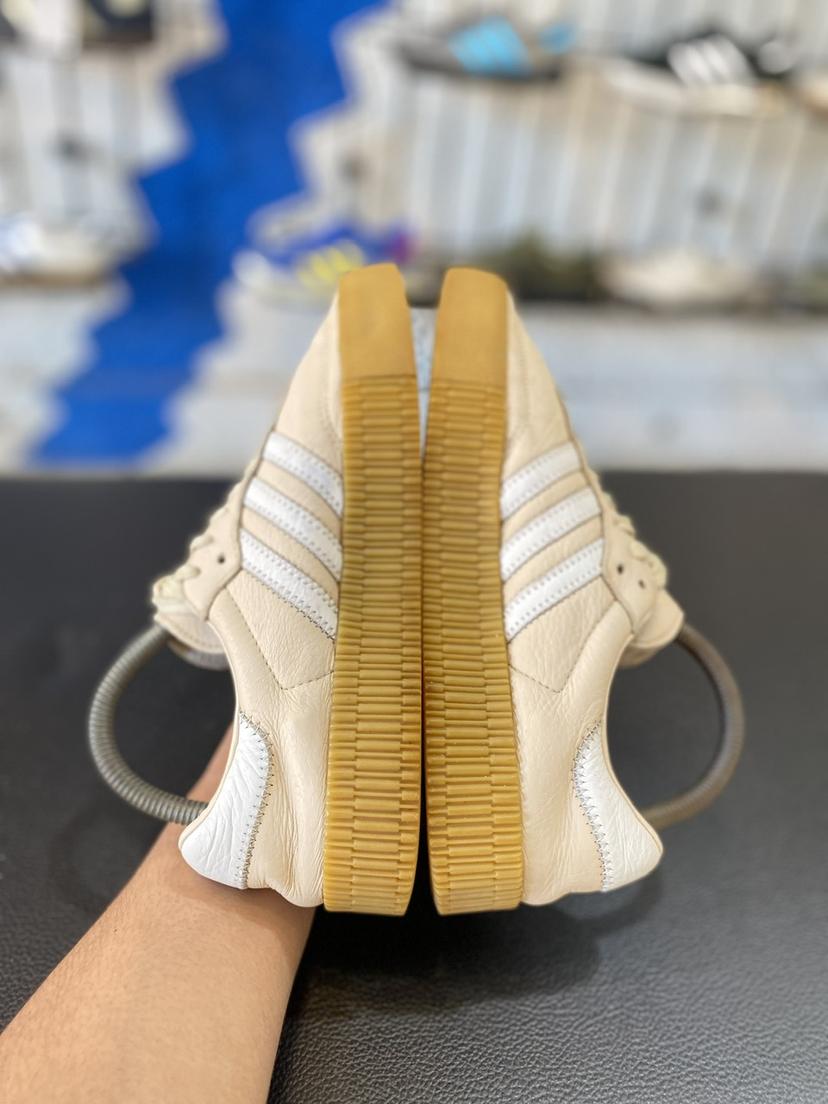 Samba rose 39 1/3