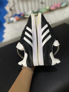 Gazelle II bw 44 2/3