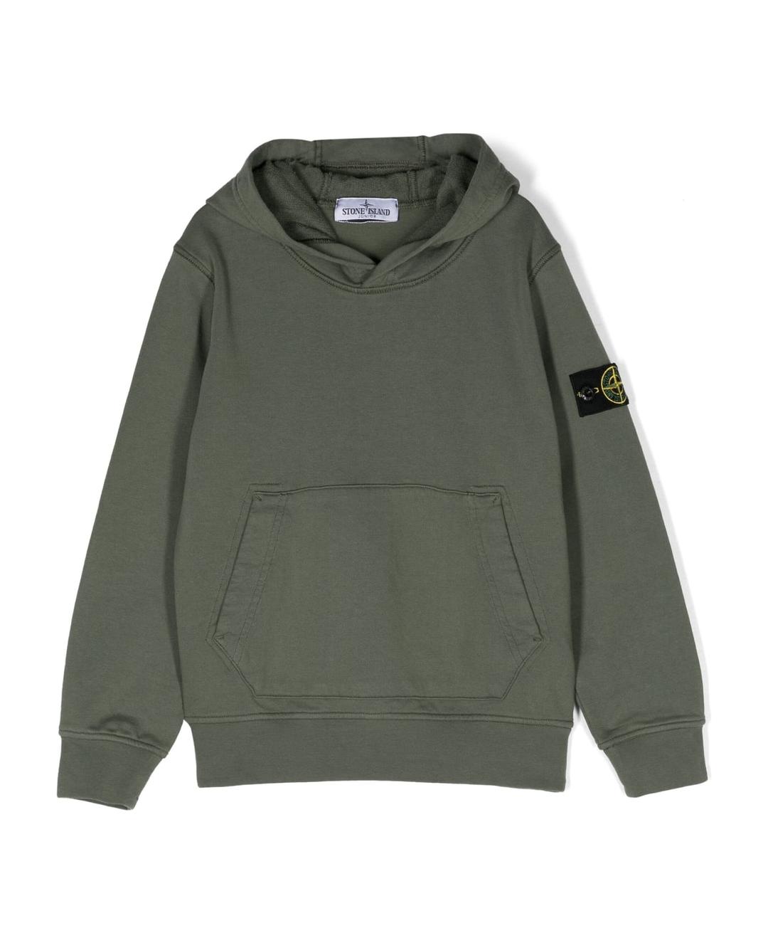 Hoodie Stone Island Grey